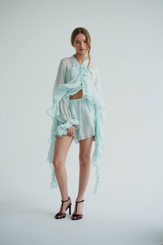 Блуза з шифону з довгим рукавом